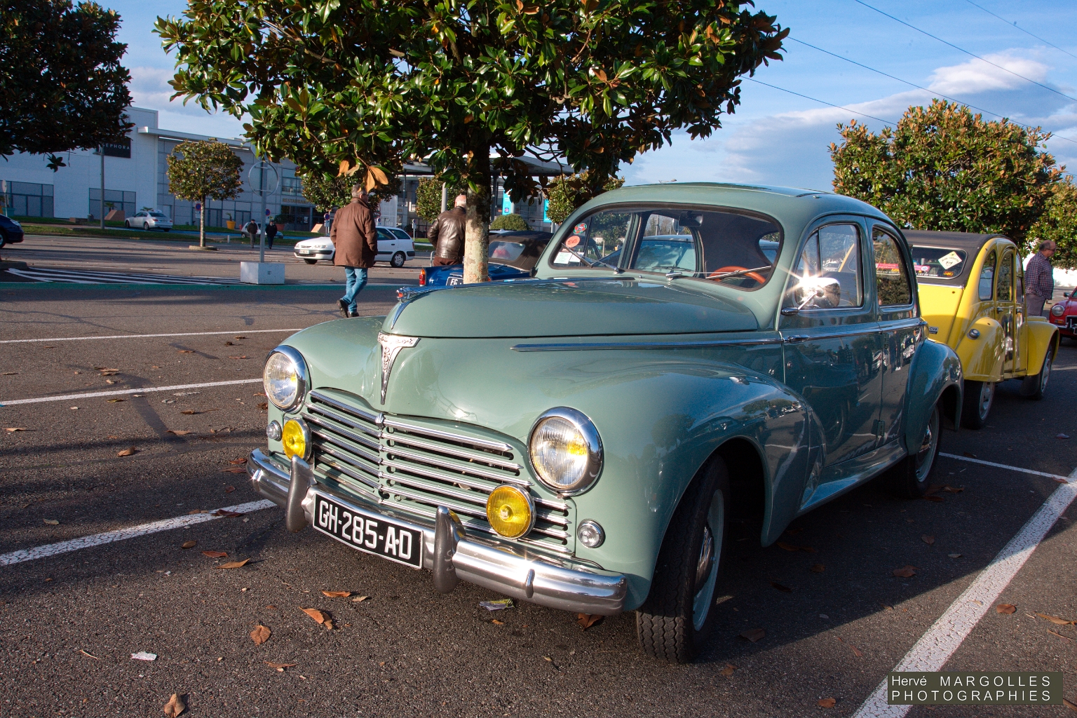 Peugeot 203_01.jpg